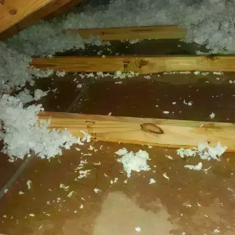 Attic Water Damage in Pine Island, TX