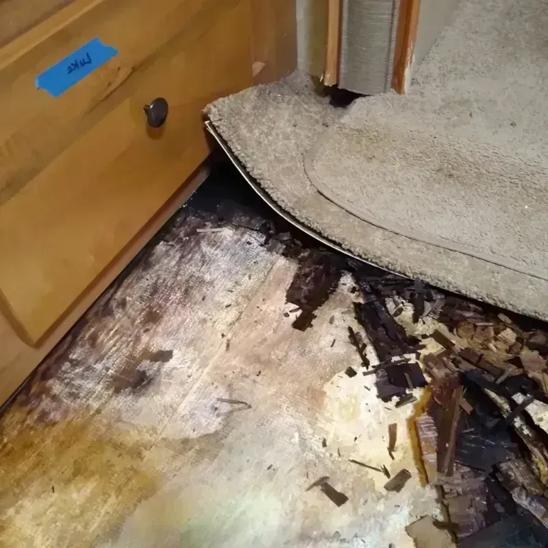 Wood Floor Water Damage in Pine Island, TX